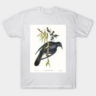 White-winged Chough T-Shirt